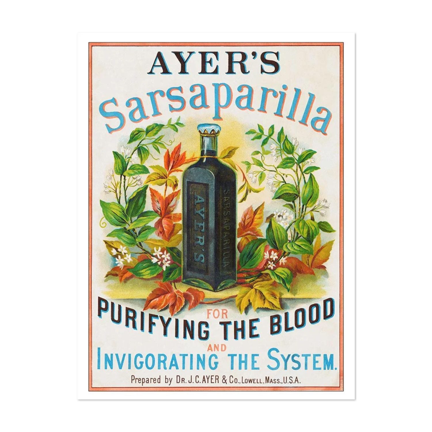 Ayers Sarsaparilla poster print